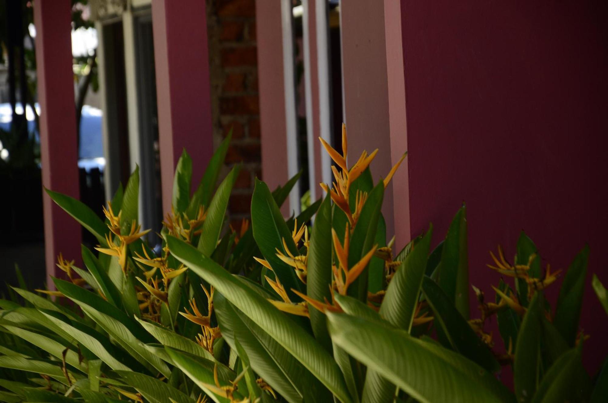 Baronda Guest House โซรง ภายนอก รูปภาพ